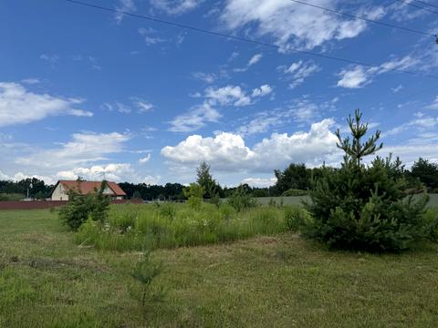 ділянка за адресою Лісова