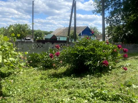 дом по адресу Франка