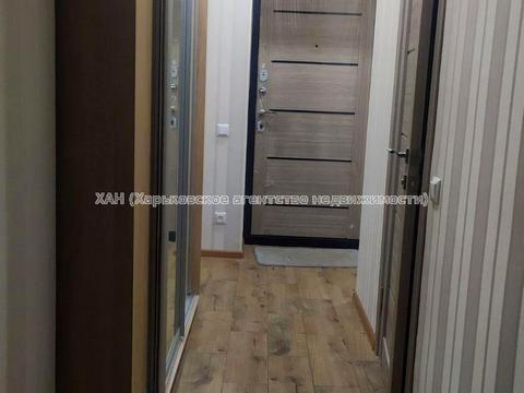 квартира по адресу Елизаветинская ул., 5