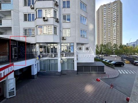 комерційна за адресою Єлизавети Чавдар вул., 13