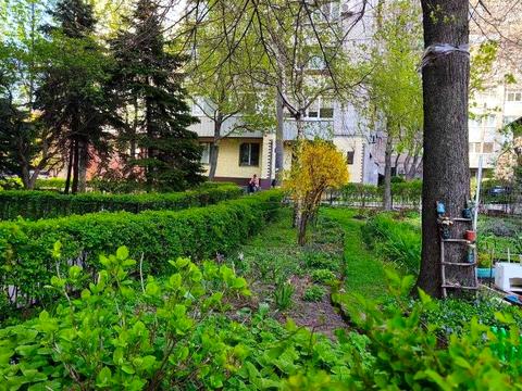 квартира за адресою Писаржевського вул., 11