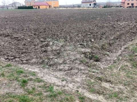 ділянка за адресою с. Артасів, Яремчука