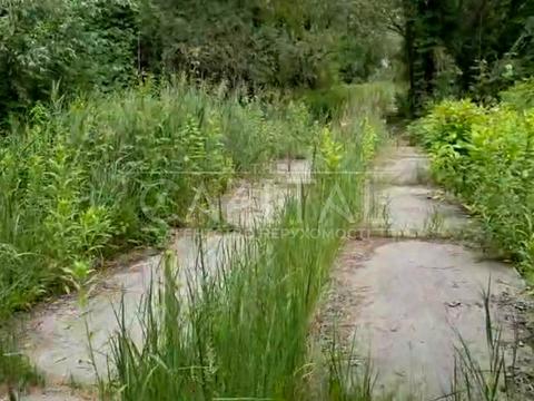 участок по адресу с. Романков, Соборна вулиця, 1
