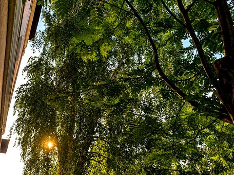 будинок за адресою Нова вул., 54