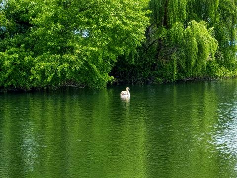 будинок за адресою Нова вул., 54