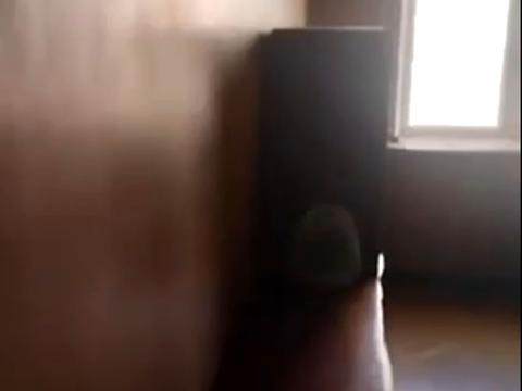 квартира по адресу Солнечная ул., 16