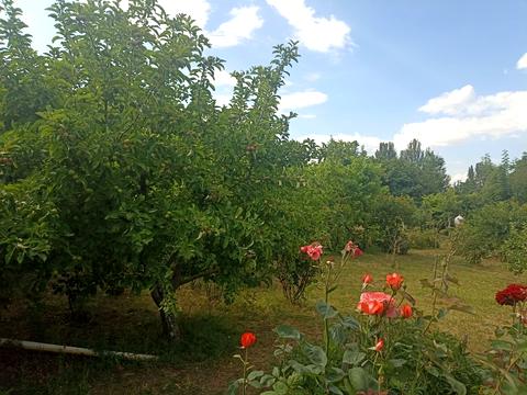 будинок за адресою Сергія Ядова вул. (Ювілейна)