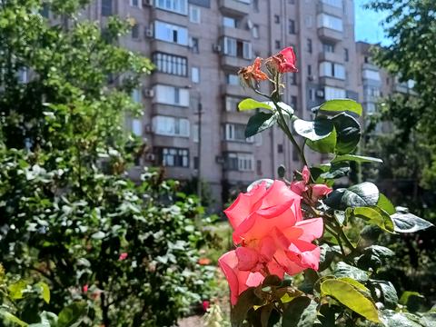 квартира по адресу Качалова ул., 42