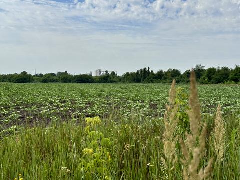будинок за адресою Юрія Лисянського вул. (Єсеніна), 105