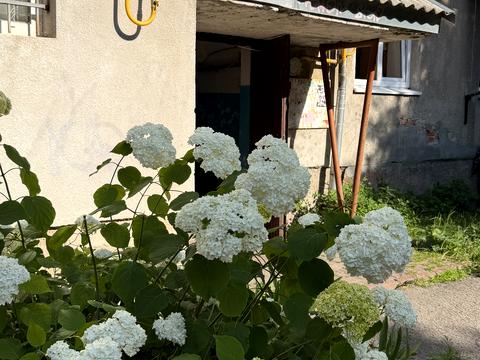 квартира за адресою Степана Бандери вул., 10а