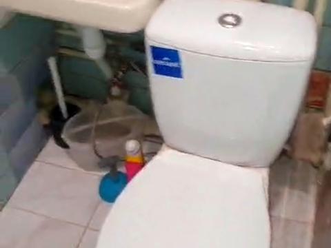 квартира за адресою Березняківська вул., 22