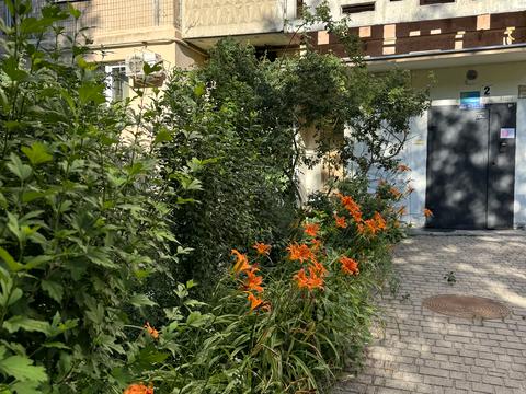 квартира по адресу Евгения Чикаленко ул., 44/1