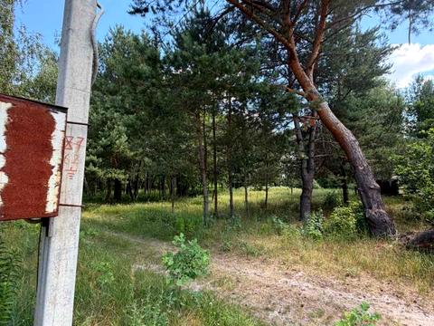 участок по адресу с. Борок, 