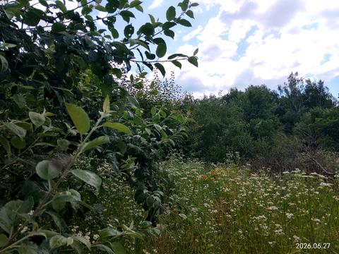будинок за адресою 12 лінія