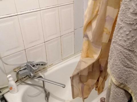 квартира по адресу Новосельского ул., 46