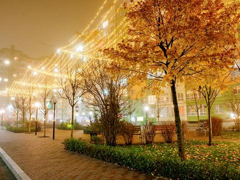 квартира за адресою Щастя вул., 7