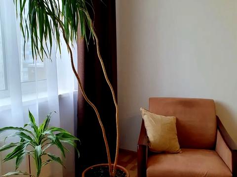 квартира за адресою Науки просп., 30