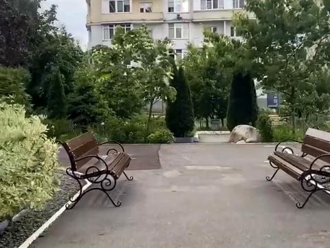 квартира по адресу Григория Сковороды ул., 3