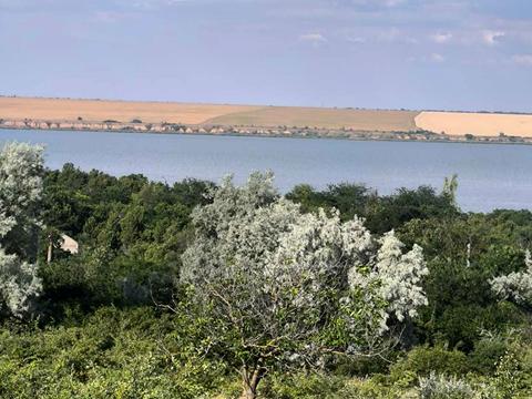 будинок за адресою зелена