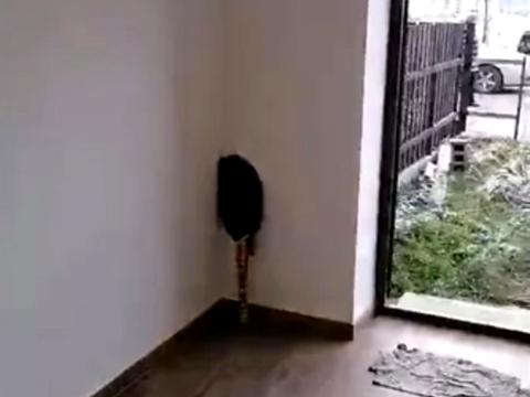 будинок за адресою Куземського вул., 11