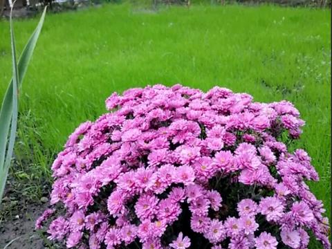 будинок за адресою Куземського вул., 11