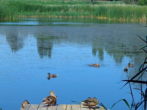 квартира за адресою Київ, Володимира Брожка вул. (Кіровоградська), (Будинок 2)