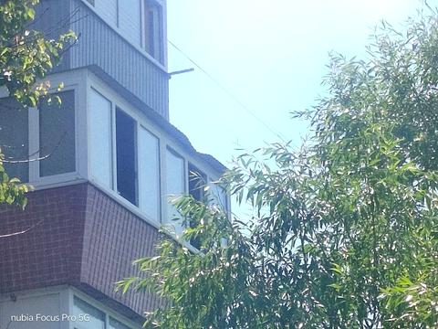 квартира за адресою Центральна вул., 84