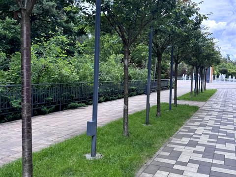 комерційна за адресою Прорізна вул., 5