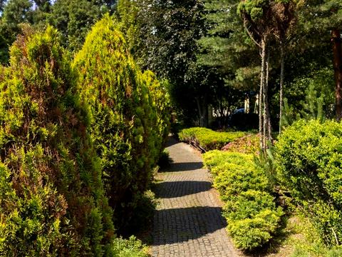 будинок за адресою провулок Шевченка, 10