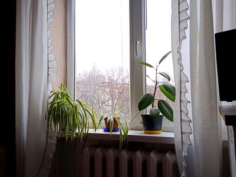 квартира за адресою Кам'янське (Дніпродзержинськ), Максима Чиженка пров. (Матросова), 21
