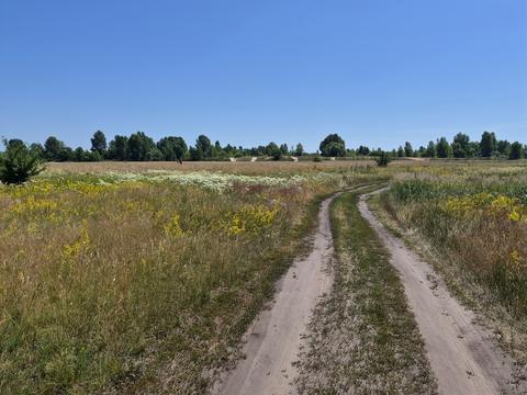 ділянка за адресою Лан