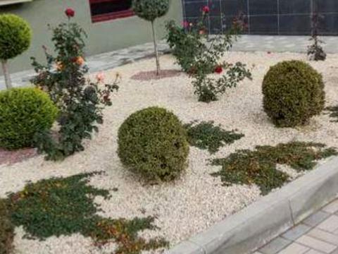 квартира за адресою Владислава Бувалкіна вул., 66