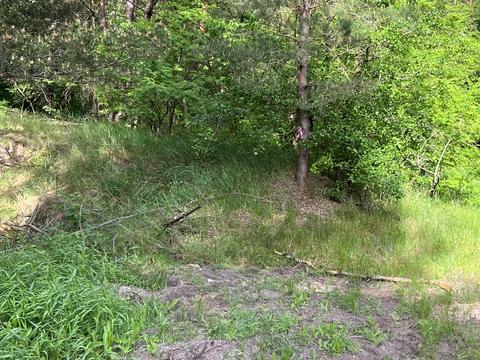ділянка за адресою Ірпінська
