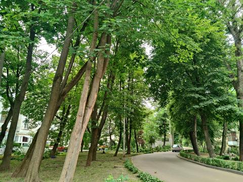 квартира за адресою Івана Мазепи вул. (Січневого Повстання), 3