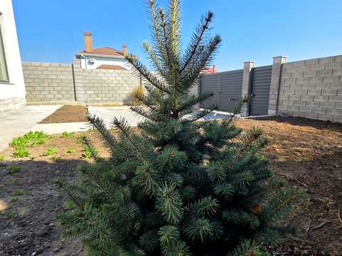 будинок за адресою Совиньен-3