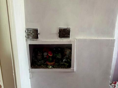 дом по адресу провулок Кошового