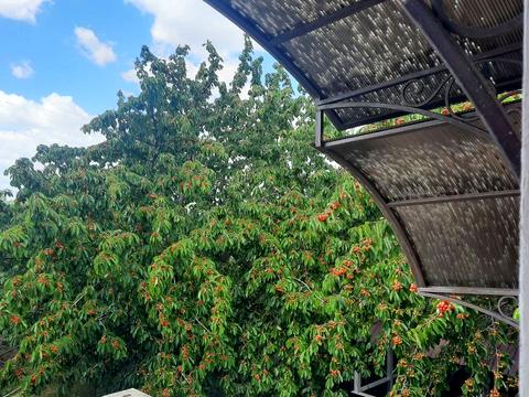 дом по адресу сорок лет победы