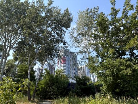 квартира за адресою Дніпровська набережна вул., 17-К