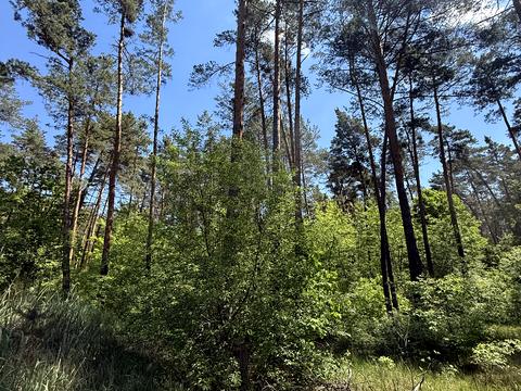 ділянка за адресою Анатолія Солов'яненка вул.