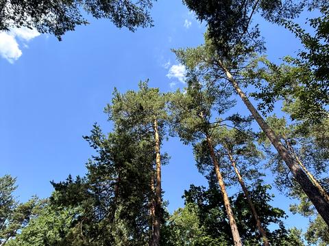 участок по адресу Анатолія Солов'яненка ул.
