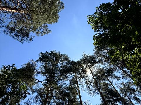 участок по адресу Анатолія Солов'яненка ул.