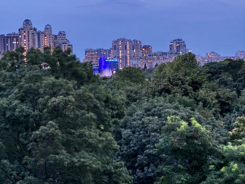 квартира за адресою Шевченка просп., 12/2