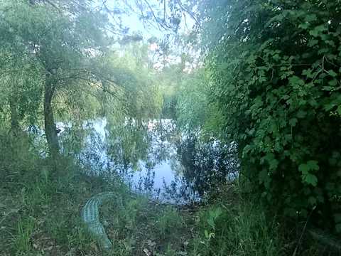 дом по адресу Кольцевая