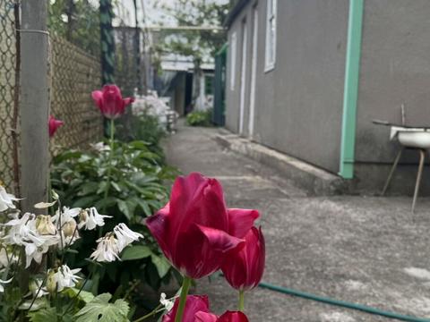 дом по адресу Длинная ул., 9