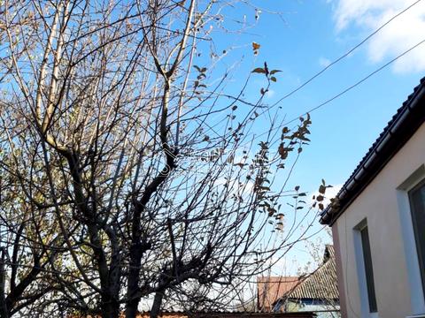 будинок за адресою Горіхова вул., 4