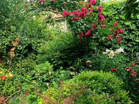 квартира за адресою Січових Стрільців вул., 38