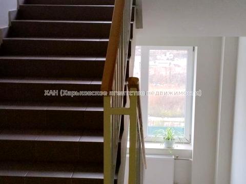 квартира по адресу Авиахимическая ул., 7-А