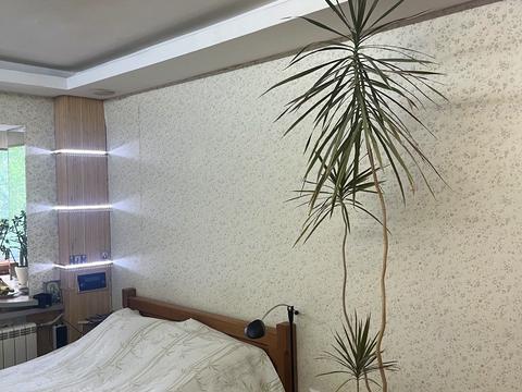квартира за адресою Івана Микитенка вул., 13