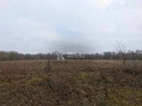 участок по адресу с. Шкаровка, івана кожедуба
