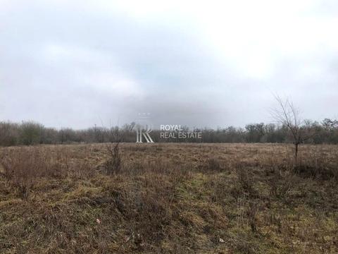 участок по адресу с. Шкаровка, івана кожедуба